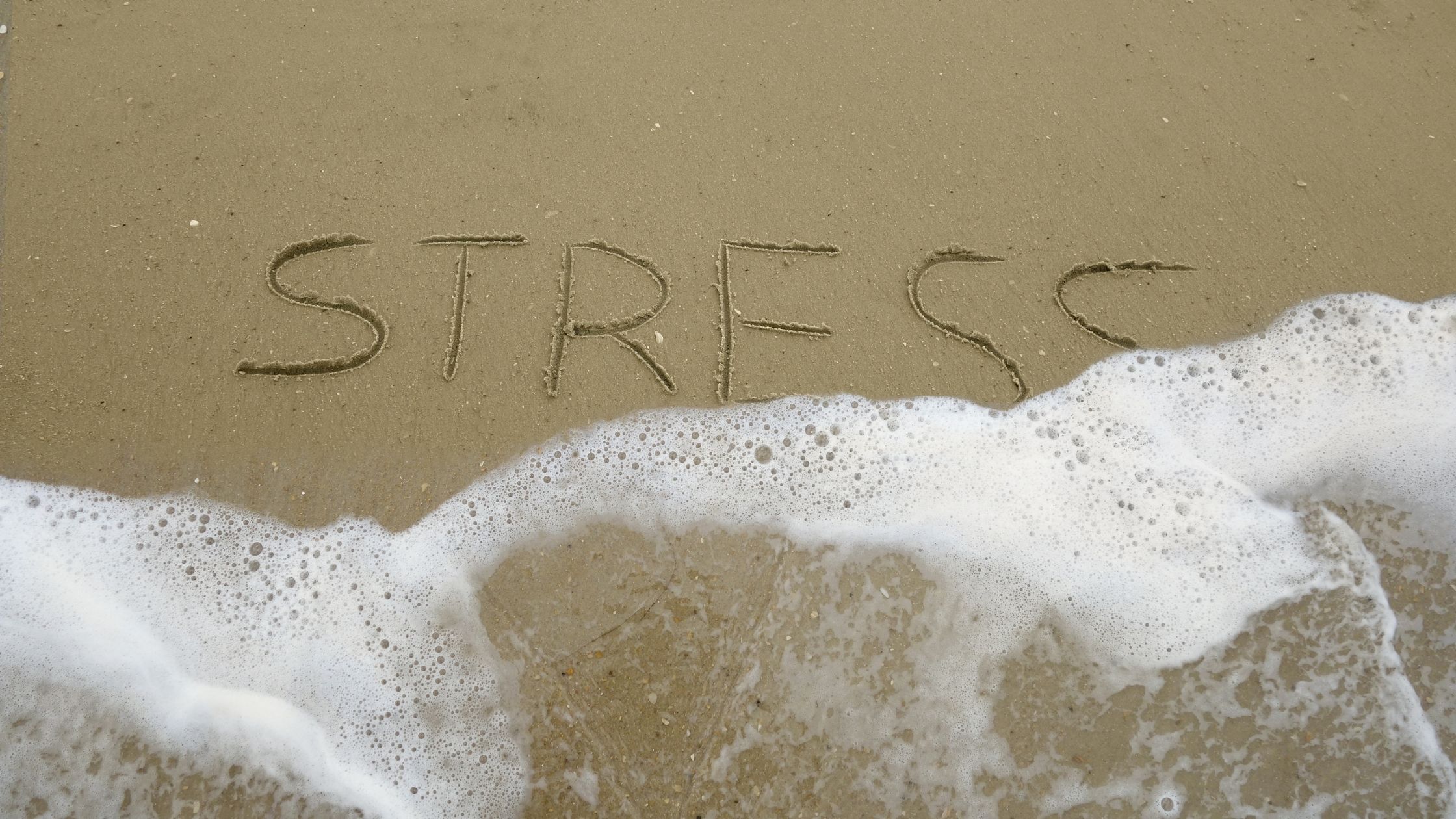 You are currently viewing Guest Blog:  Stress Reduction for Fitness and Health